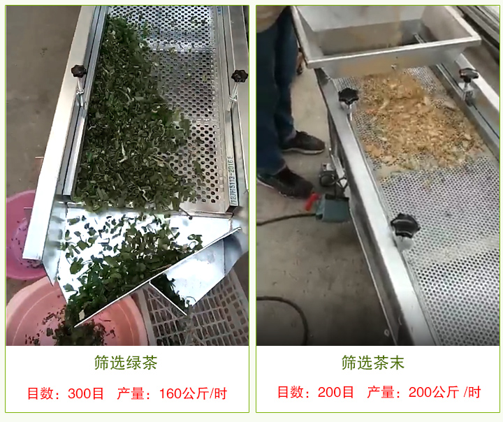 茶葉解塊篩分機現場(chǎng)圖片