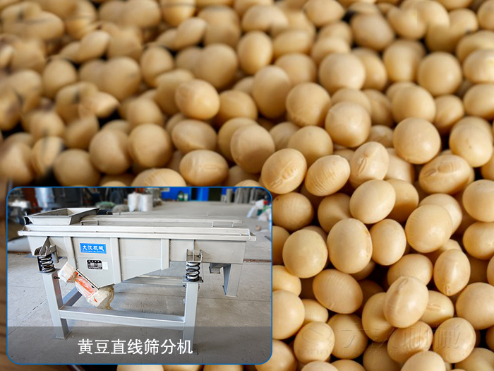大豆直線(xiàn)篩分機