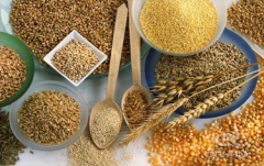<b>糧食行業(yè)選擇什么樣的振動(dòng)篩比較合適？</b>